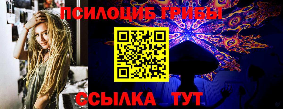 Галлюциногенные грибы MAGIC MUSHROOMS  Псилоцибиновые грибы Magic Shrooms  Вход с VPN  Королёв 